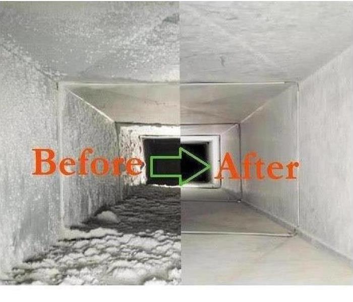 Reasons to Hire Professional Mold Removal Service?